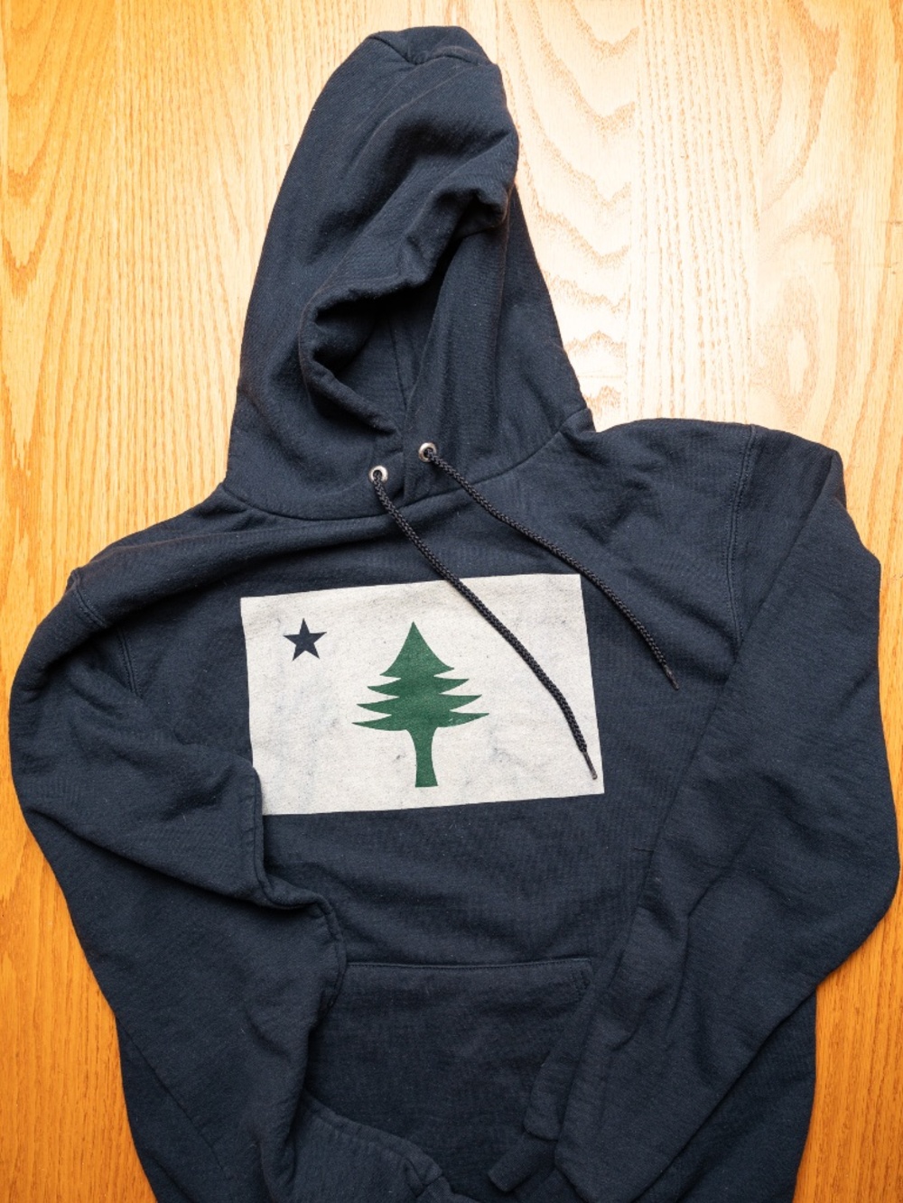 Maine Flag Navy Blue Champion Hoodie